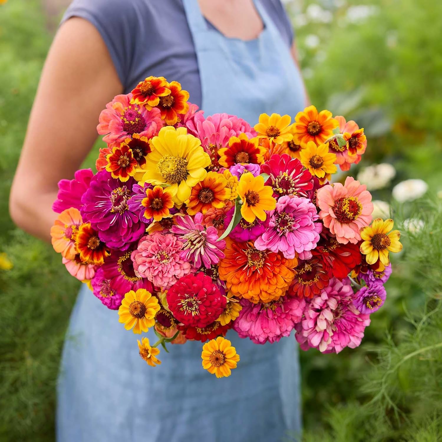 Eden Brothers Zin Master Flower Mixed Seeds for Planting, 1 lb, 480,000+ Seeds with California Giant, Mexican, Lilliput Zinnia | Attracts Pollinators, Plant in Spring, Zones 3, 4, 5, 6, 7, 8, 9, 10