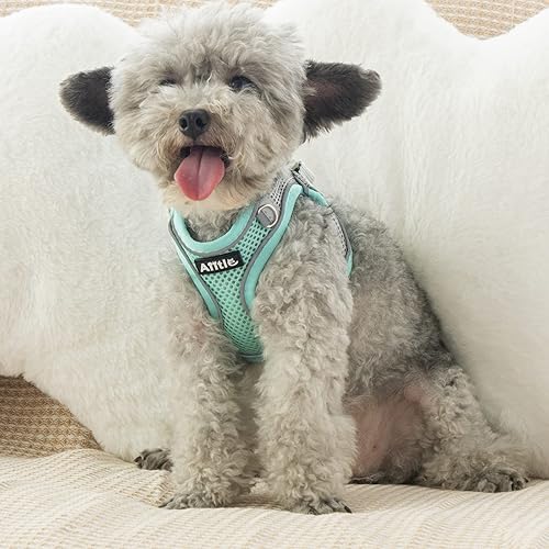 Miniatura 151 de AIITLE Arnés Escalonado para Perro y Juego de Correa - Chaleco Arnés a Prueba de Escape Sin Tirones con Malla Suave y Bandas Reflectantes, Arneses