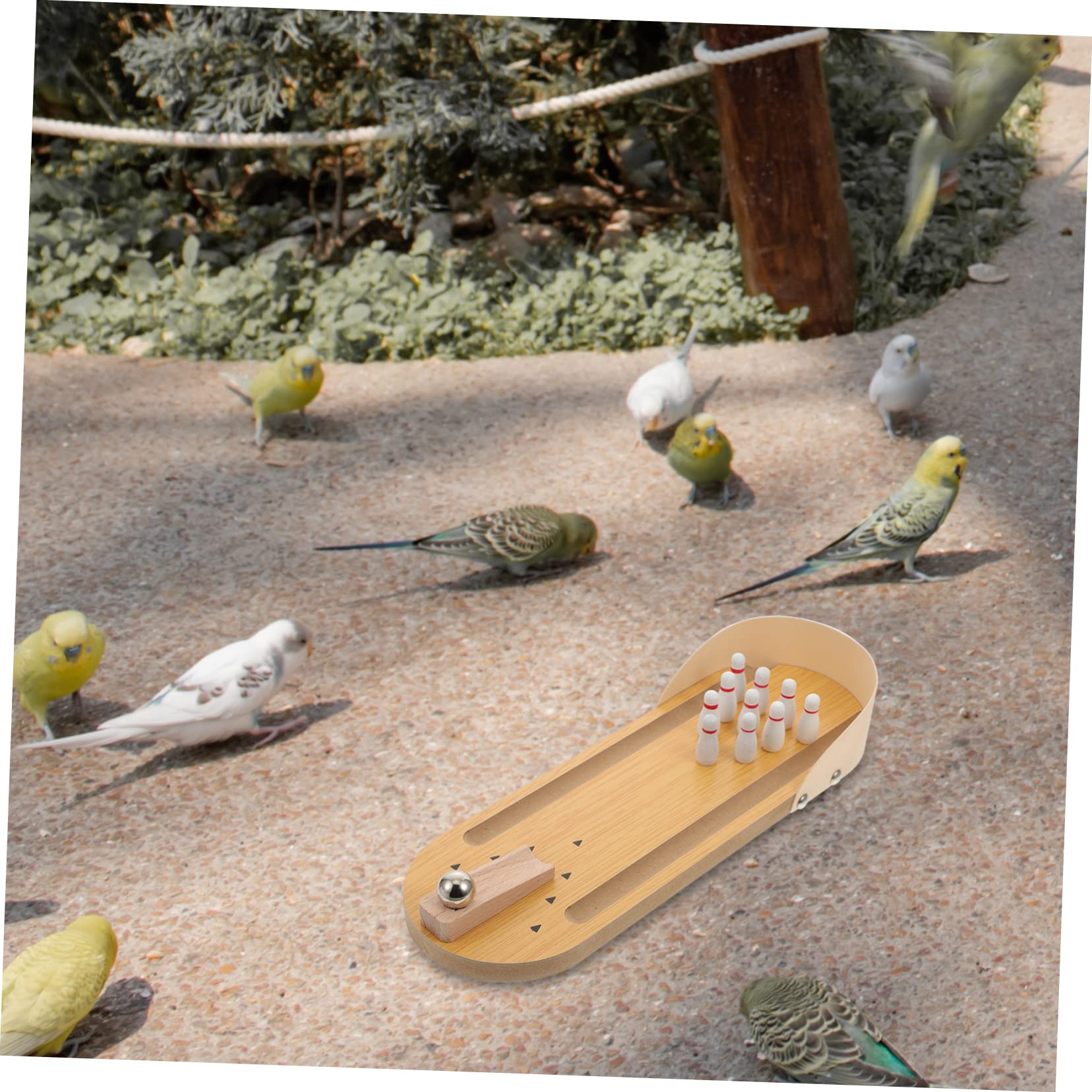 WOONEKY Parrot Bowling aus Naturholz Langlebiges Trainingsspiel für Papageien Interaktives Vogelspielzeug zur Geistigen Verschleißfestes für Wellensittiche und Papageien