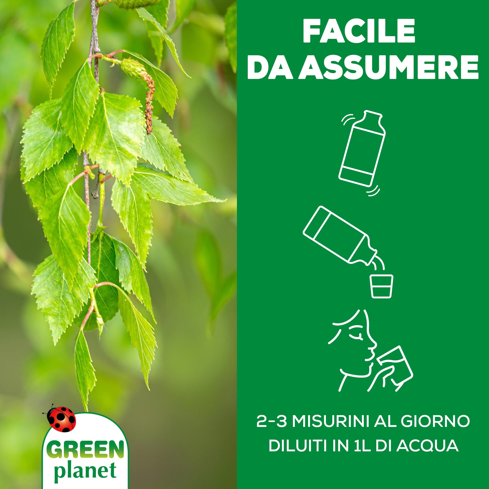 Matt Drenante Forte con Linfa di Betulla, 500ml