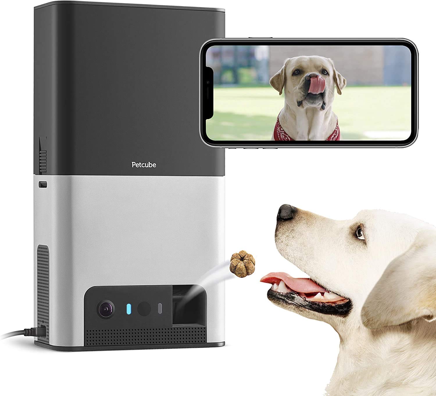 [New 2020] Petcube Bites 2 Wi-Fi Pet Camera with Treat Dispenser & Alexa Built-in, for Dogs and Cats. 1080p HD Video, 160° Full-Room View, 2-Way Audio, Sound/Motion Alerts, Night Vision, Pet Monitor