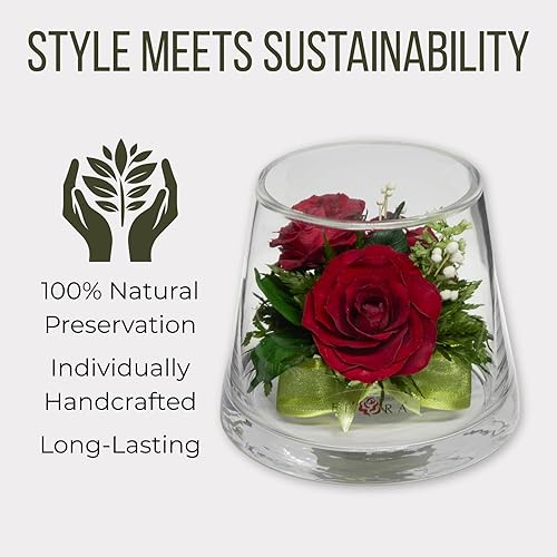 Miniatura 6 de Fiora Flower  Rosas reales de larga duración en un jarrón sellado, dura hasta 5 años, regalo único
