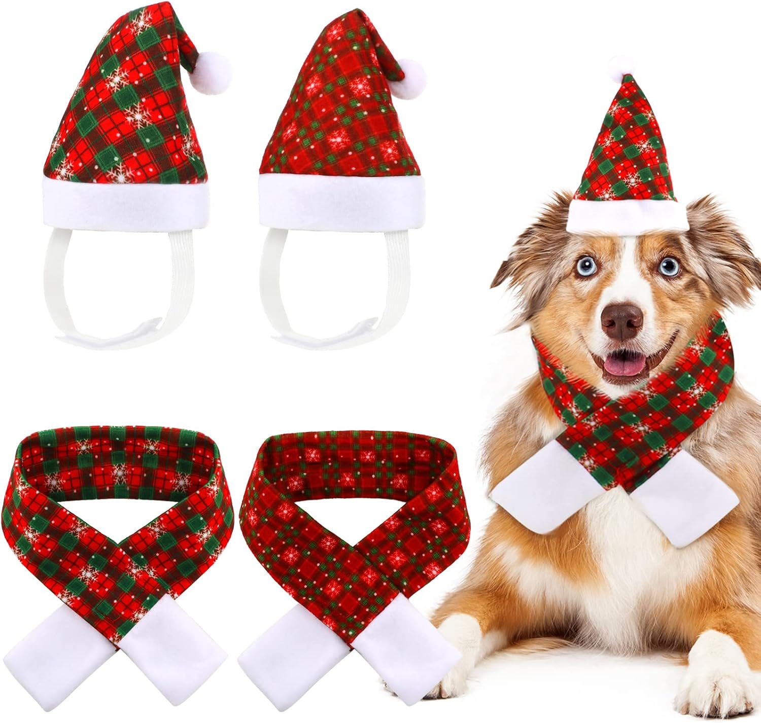 How To Put A Party Hat On A Dog