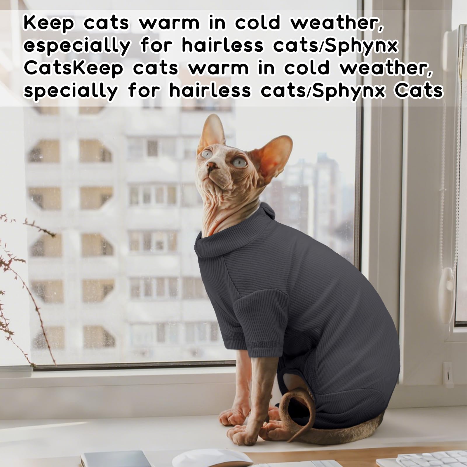 Vêtements pour Chat, Pull à Manches Longues Manteau d'hiver Chat Boby Recuperation Anti-Lécher(Gris Foncé, M)