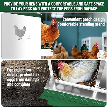 Chicken Nesting Box, 10 Compartment Metal Nesting Boxes for Chicken Coop, Easy Egg Collection, Easy Cleaning, Durable Green Chicken Laying Boxes for Hens