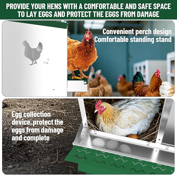 Chicken Nesting Box, 10 Compartment Metal Nesting Boxes for Chicken Coop, Easy Egg Collection, Easy Cleaning, Durable Green Chicken Laying Boxes for Hens