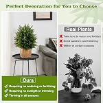 Goplus 21.5” Artificial Cedar Topiary Ball Tree, Set of 2 False Potted Plants Artificial Shrubs Bushes with Cement Pot, Fake Evergreen Artificial Topiary for Indoor Outdoor Home Front Porch Decor