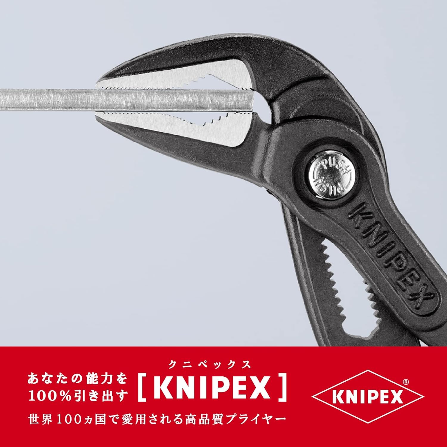 Amazon.co.jp: クニペックス KNIPEX コブラ ウォーターポンプ