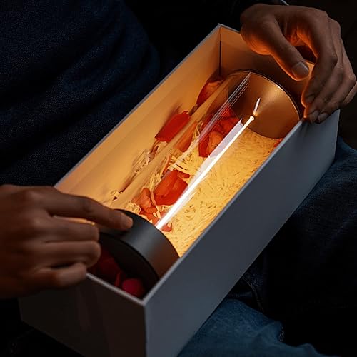 Miniatura 7 de AUGE LIGHT Lámpara de escritorio minimalista inalámbrica, lámpara de mesa LED recargable, moderna, luces regulables con 3 niveles para juegos,