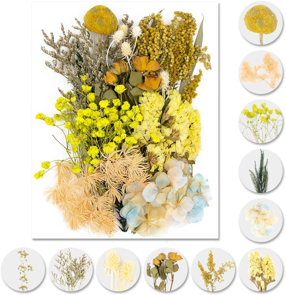iDattelNatural Dried Flowers, Flowers Natural Mixed, DIY Natural Dried Flower Set for Arts and Crafts DIY Resin Scrapbooking Craft Cards Making (Yellow)