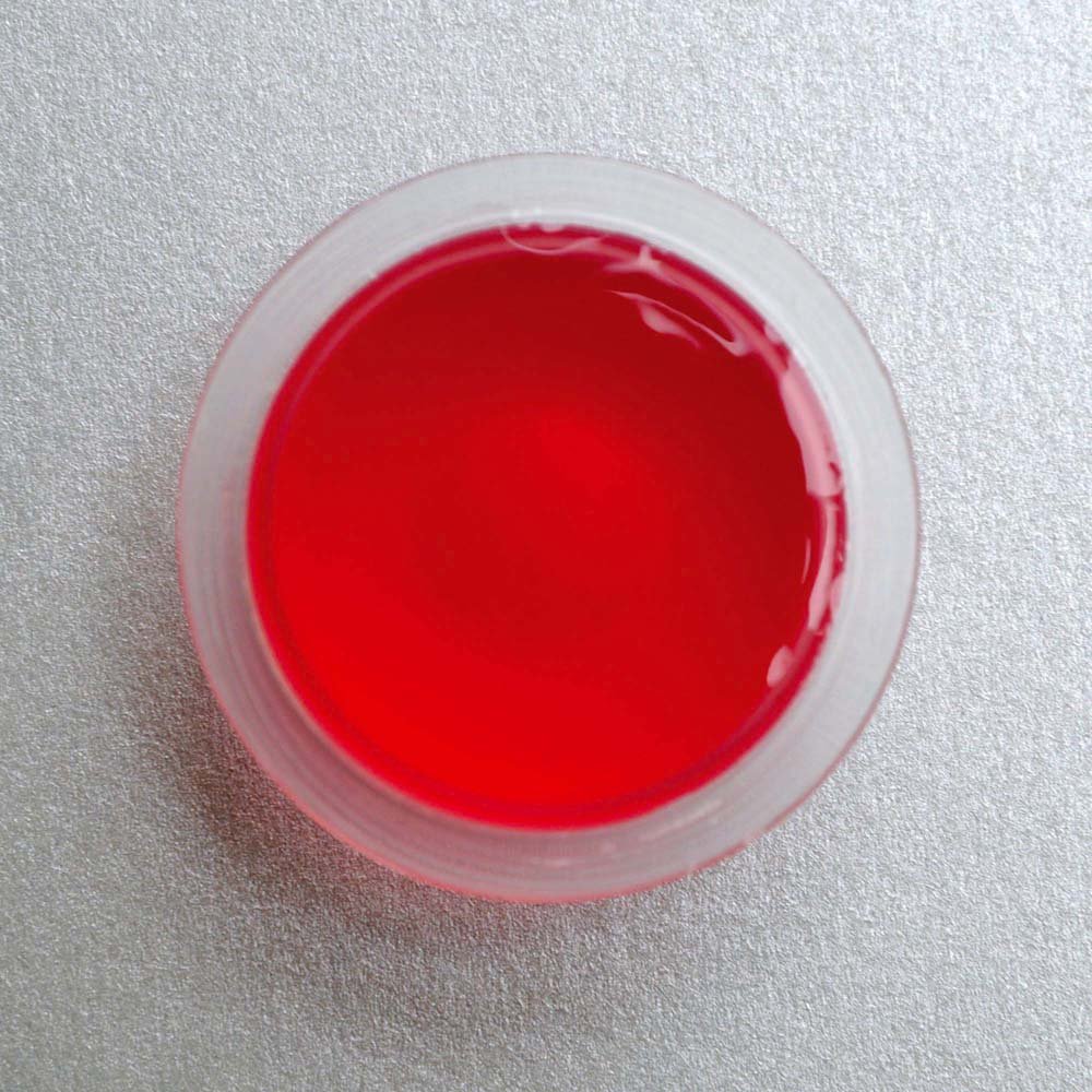 Dragon Terraristik Jelly-Food Mixed Pack 20 sztuk po 16 g, 1 opakowanie (1 x 320 g)