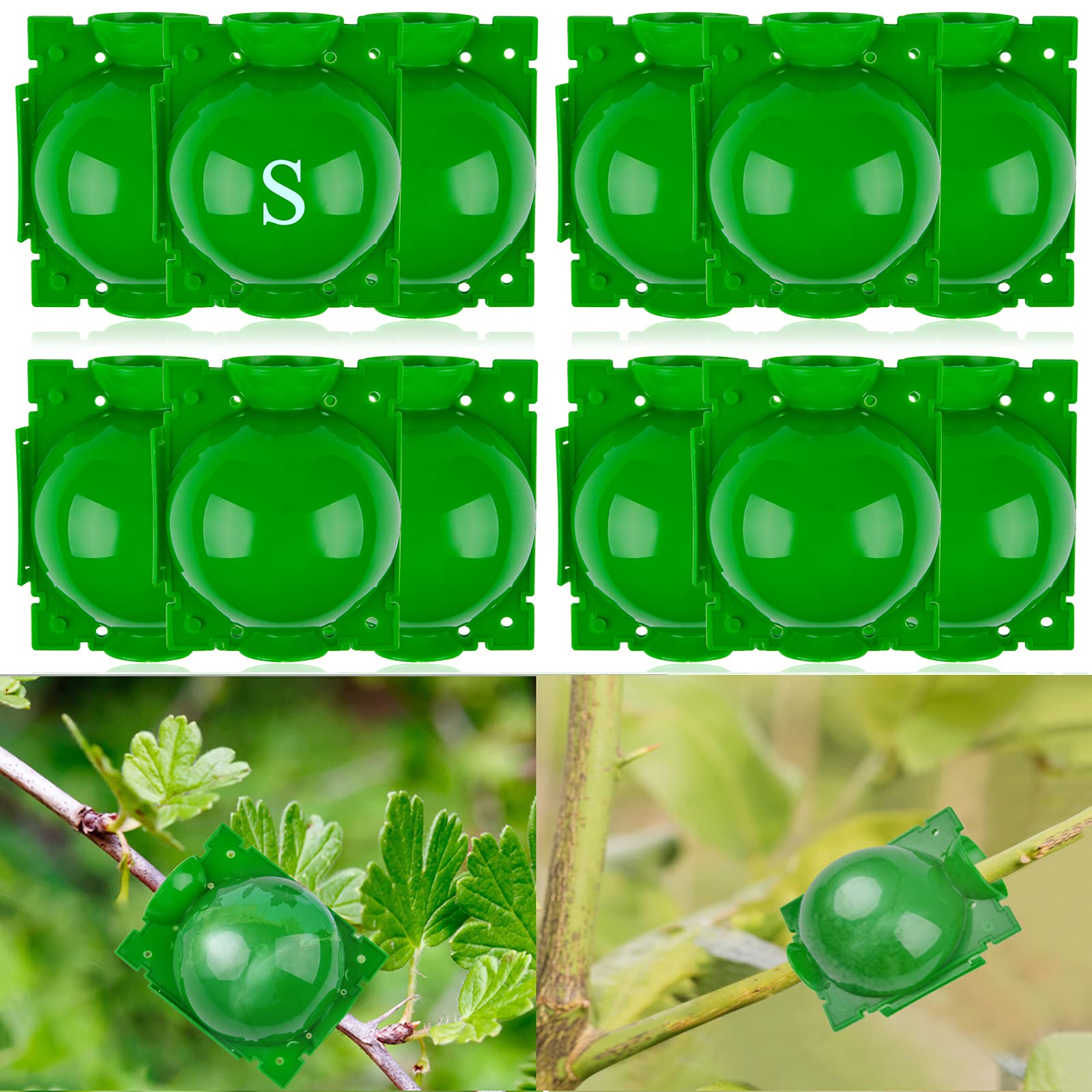 Kalolary Scatola Coltivazione Radici Piante 12 Pezzi Dispositivo Radicazione Piante Scatola Radicatori Sfera Propagazione ad Alta Pressione Innesto Radice Botanica Controller Piante(Piccolo)