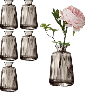 6 Stück Kleine Glasvasen für Tischdeko, Mini Vasen Blumenvase Set für Hochzeit Tischdeko(11× 6,5cm, Grau)