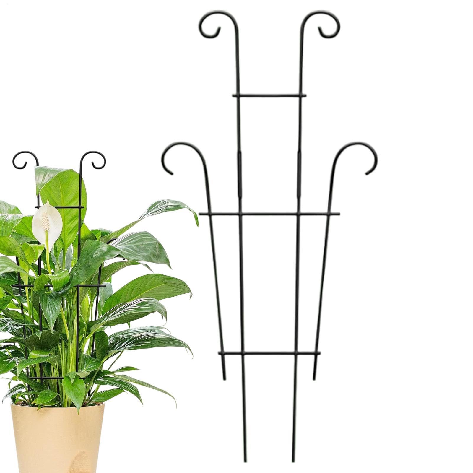 Enrejado de plantas para macetas: evite enredos de ramas y controle el crecimiento de la vid
