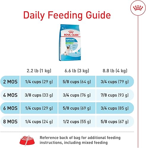 Miniatura 8 de De Royal Canin, Size Health Nutrition, comida seca para cachorros extra pequeños, comida para perros