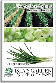 Tokyo Long White Bunching Onion Seeds for Planting, 300+ Heirloom Seeds Per Packet, Islas Garden Seeds, Non GMO Seeds, Botanical Name Allium fistulosum, Garden Gift!