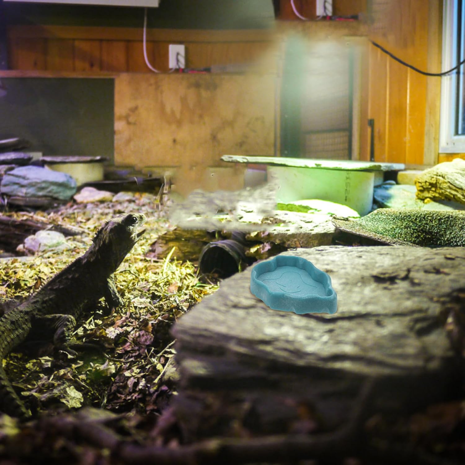 PRETYZOOM Reptile Water and Food Bowl Hermit Crab Feeding Dish Small Lake Blue Plastic Terrarium Tray for Turtles Lizards and Bearded Dragons