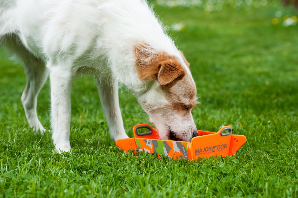 Gamelle Pliable/Écuelle de Voyage/Mangeoire/Bol pour Les Déplacement pour Chien