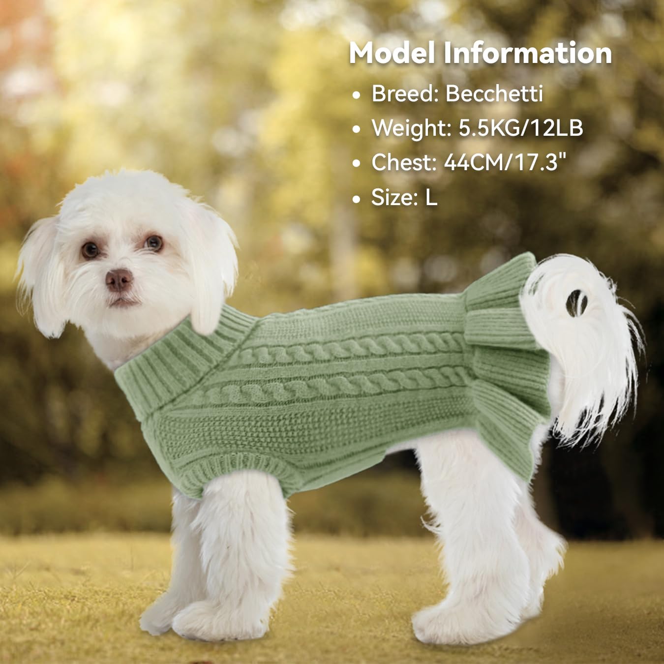 ALAGIRLS Large Dog Christmas Sweater Cat Dress for Girls Boys, Soft Knit  Turtleneck Warm Dog Sweater Kitten Clothes, Yorkie Shih Tzu Dachshund  Holiday Pet Apparel, SageGreen L : Amazon.co.uk: Pet Supplies