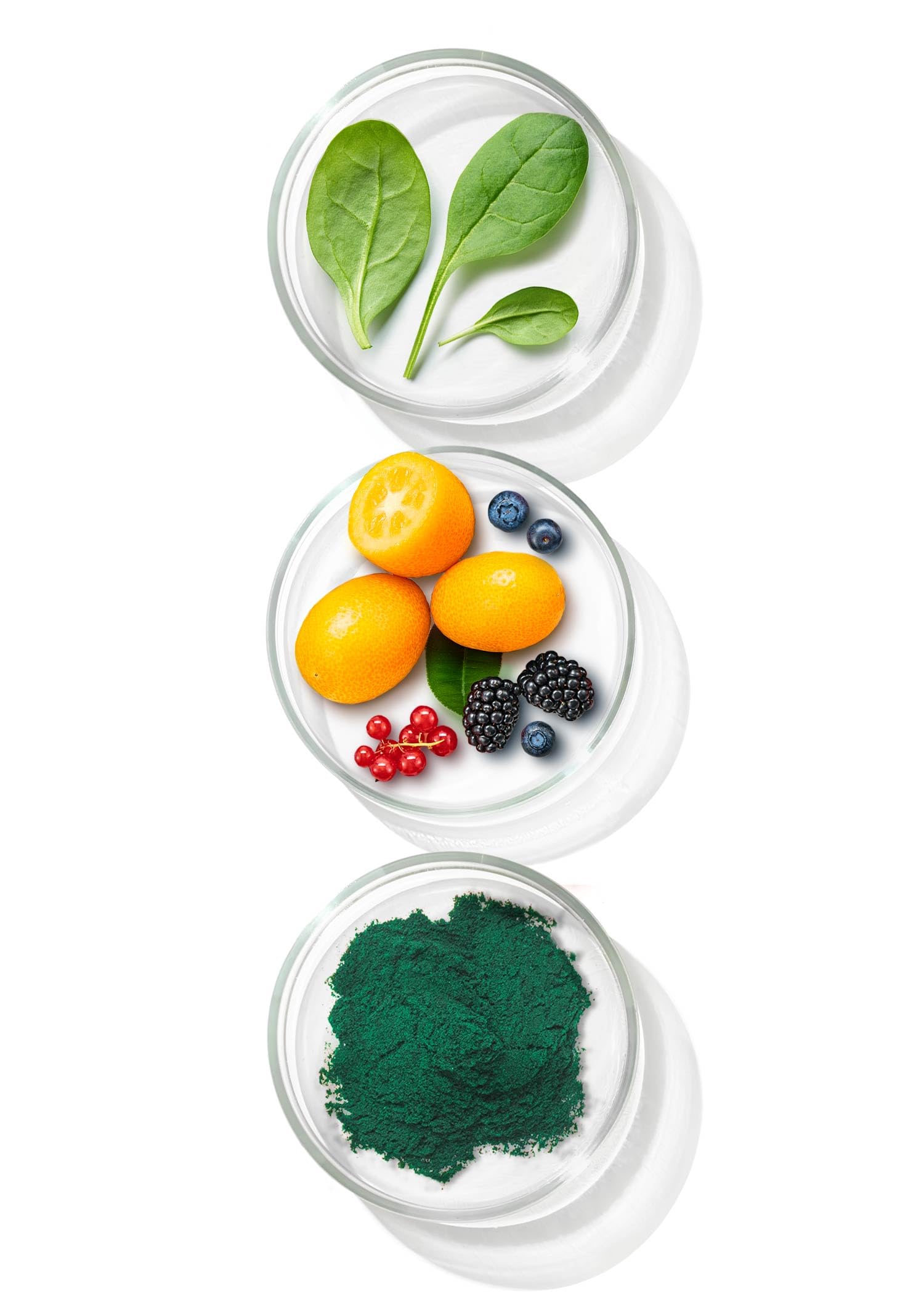 Primal Harvest® Polvo Primal Greens (30 porciones) (original)