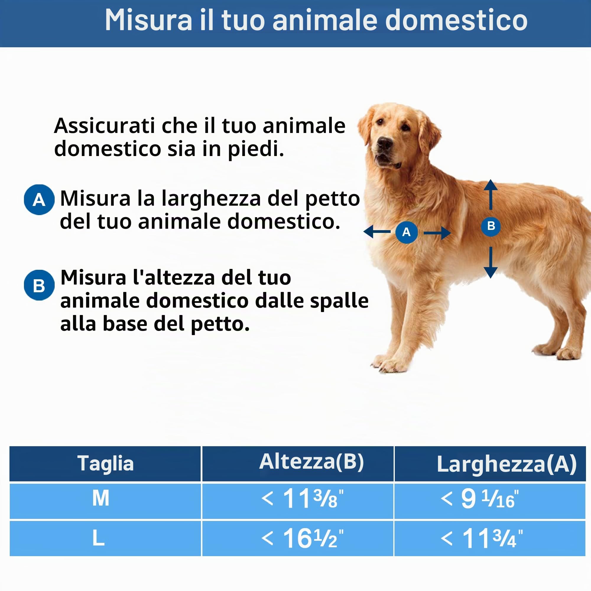 CEESC Porta per cani grande per animali domestici fino a 45 kg, resistente alle intemperie per cani e gatti, pannello di chiusura a scatto incluso, adatto per porte o pareti interne ed esterne, grande