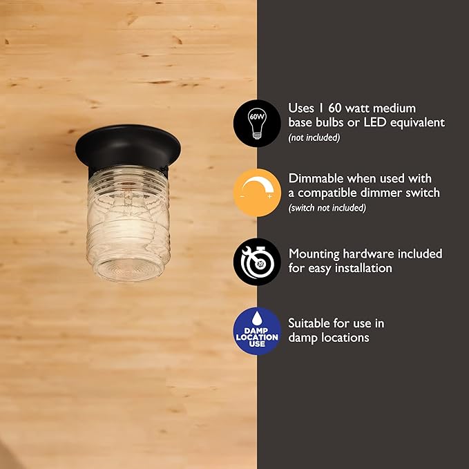 Volume Lighting 1Light Indoor Black Flush Mount Ceiling Fixture With