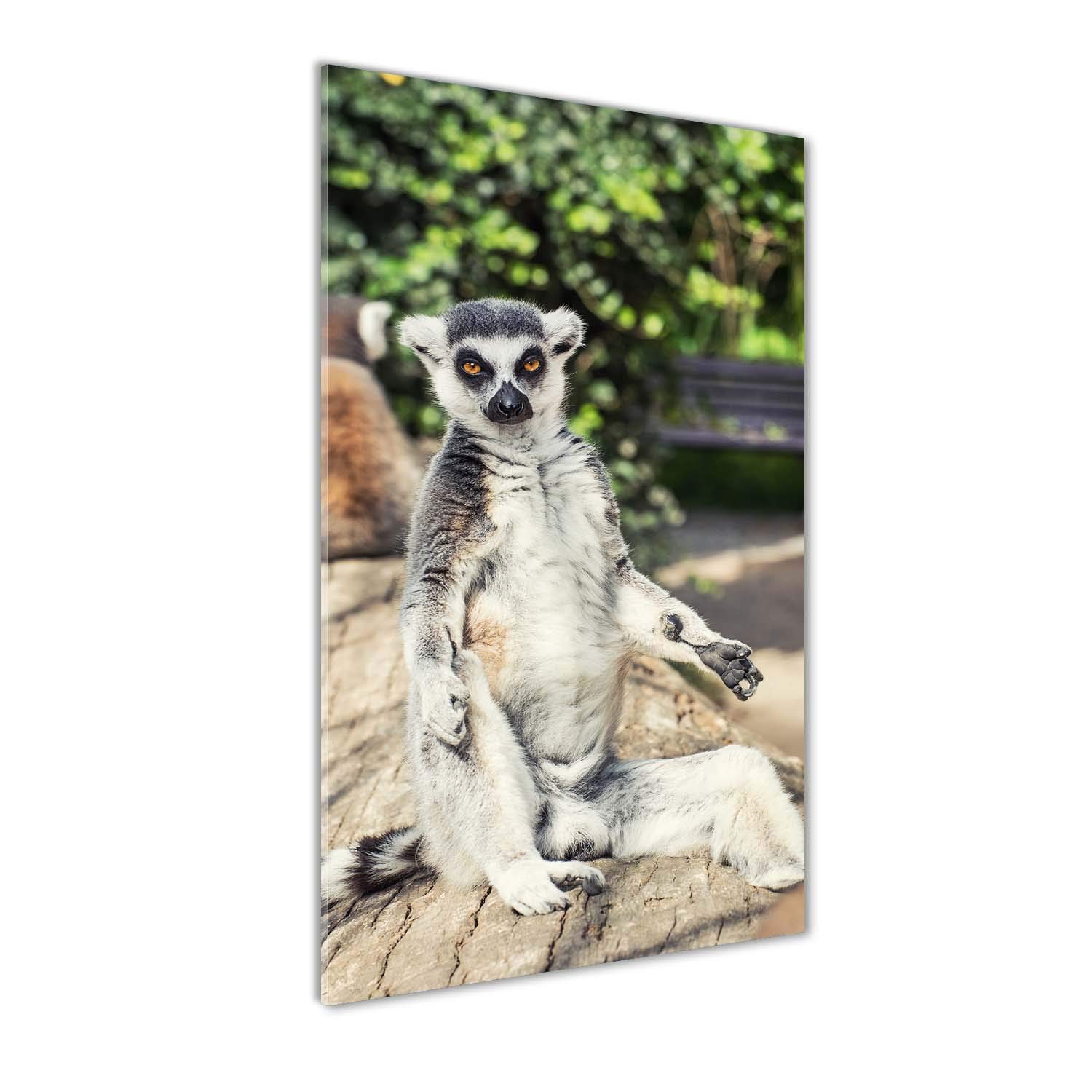 Tableaux pour la mur maki beige Tulup impression sur verre acrylique 60x120