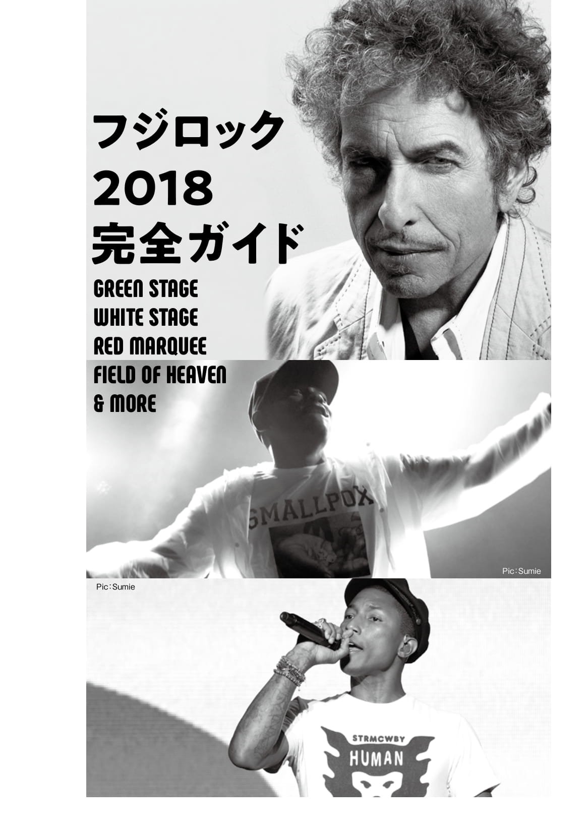100人が語るフジロック伝説 (シンコー・ミュージックMOOK)