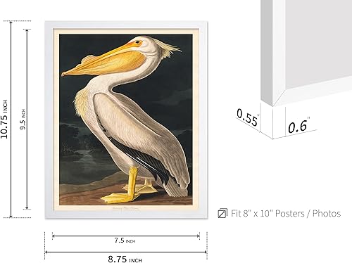 Miniatura 365 de Poster Master Póster vintage de flamenco americano, estampado retro de flamenco rosa, arte de pájaro, regalo para él, ella, amante de los animales,