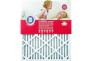 True Blue Electrostatic Air Filter 20x25x1 (MERV 11) (4-Pack)