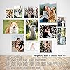 Product Photo 8
