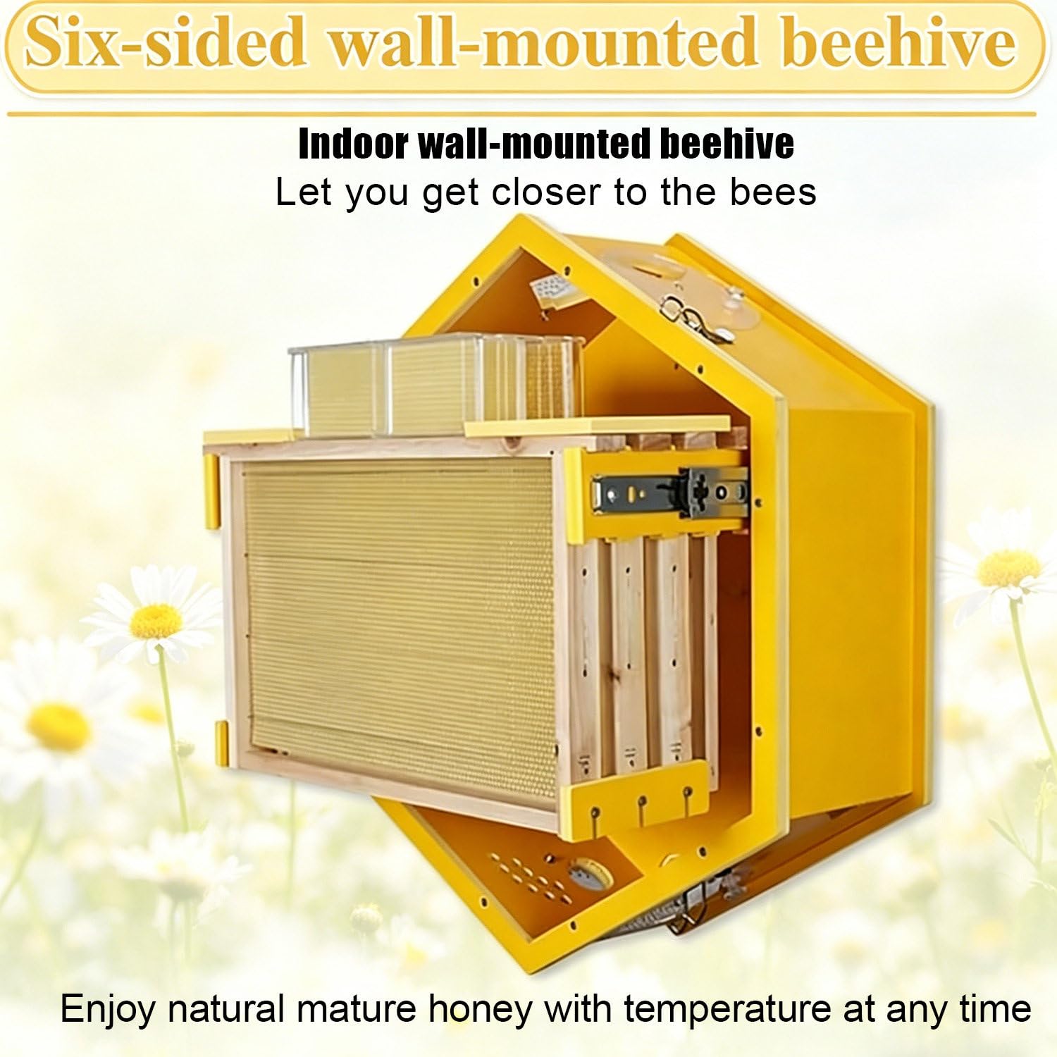 Bienenstock mit Sichtfenster, Wandmontage, 6-Box-Sammelstock für die Ernte von natürlichem Honig und einfache Kolonieverwaltung
