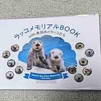 お宝★ラッコメモリアルBOOK★ Amazon.co.jp: 鳥羽水族館 ラッコメモリアルBOOK with 鳥羽水の