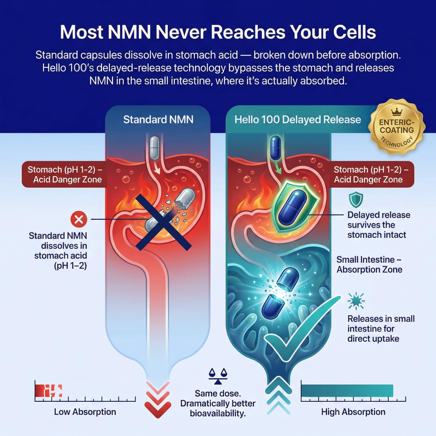 NMN Supplement 500mg, Pure NAD+ Booster Capsules, Delayed Release — Amazon image 3