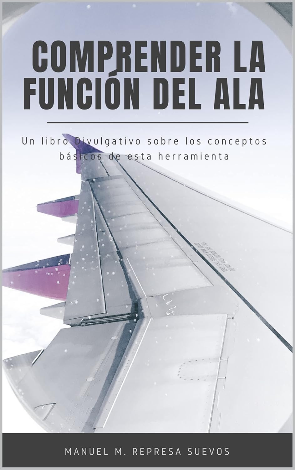 Comprender la función del ala (Spanish Edition)      Kindle Edition