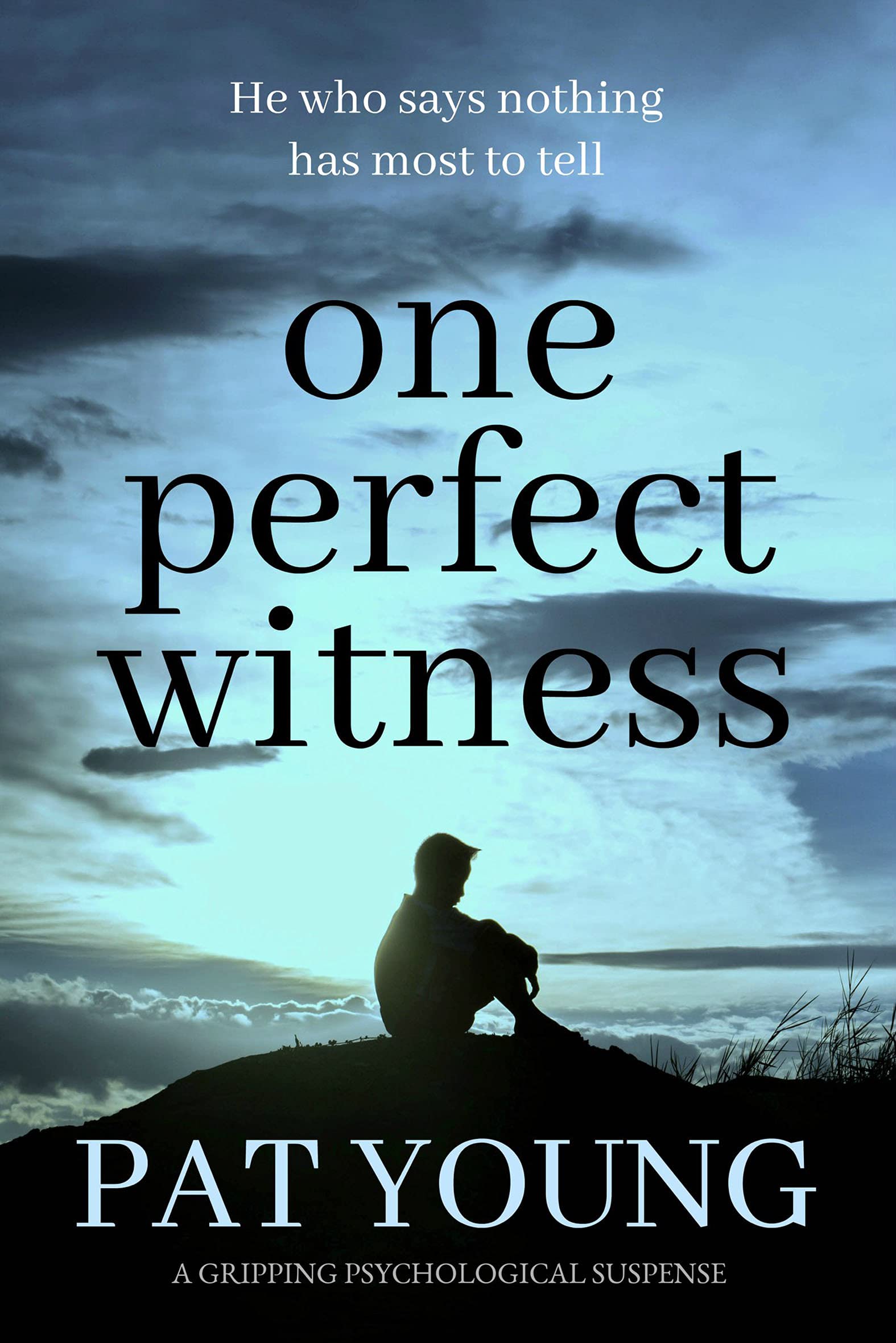 One Perfect Witness: a gripping psychological suspense