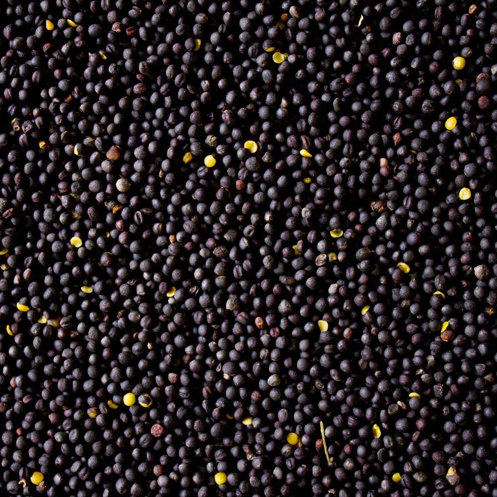 10 kg di semi di colza sciolti per cuscini termici, cuscino freddo, imbottitura per cereali, materiale di riempimento, massaggio alle mani, terapia ergica, fisioterapia