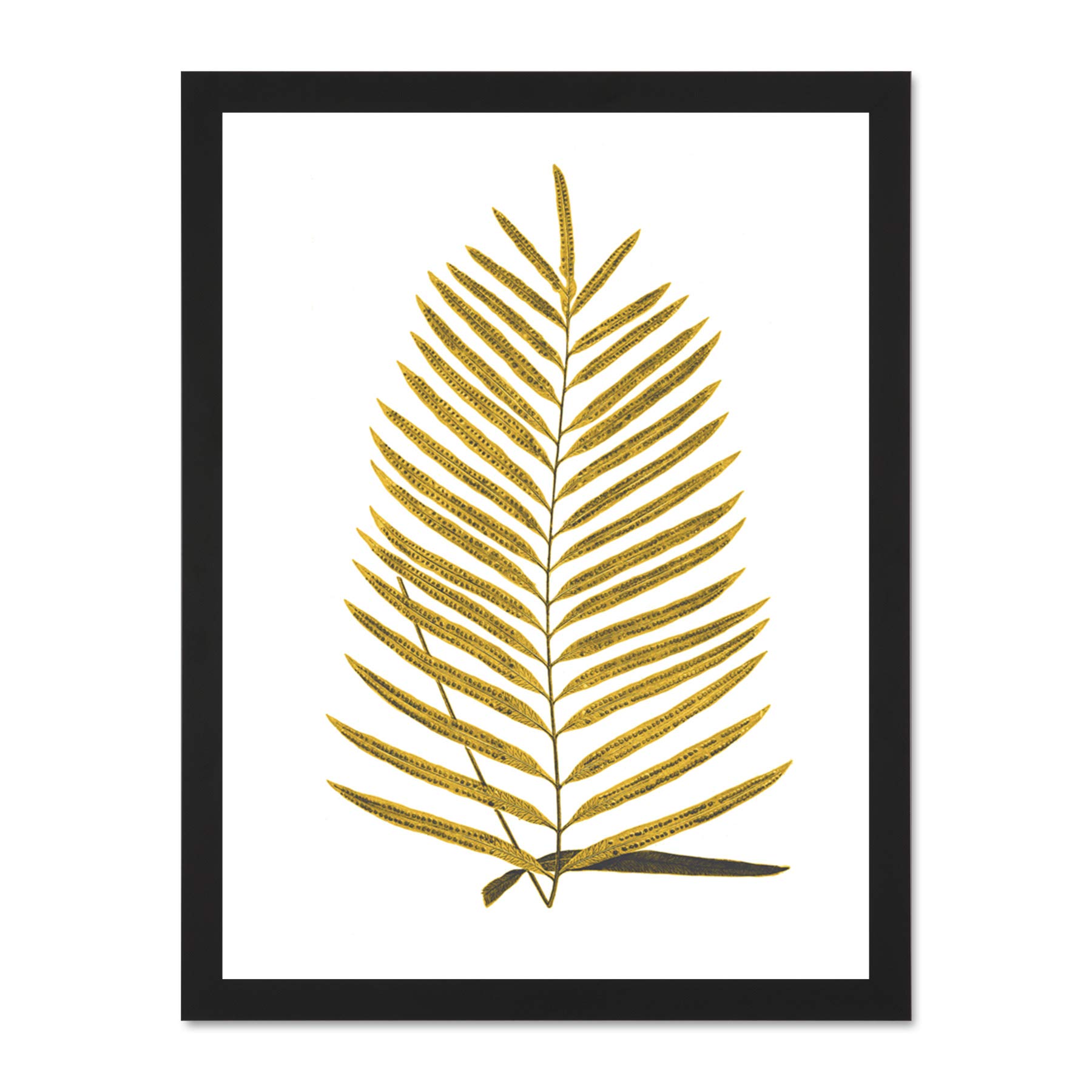 Wee Blue Coo Botanics Gold And Grey Fern Large Black Framed Art Print Wall Poster 18x24 inch
