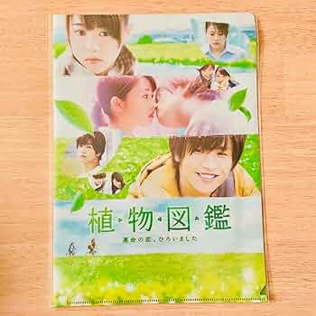 植物図鑑 岩田剛典 等身大パネル 711vLFZmXVL._UF350,350_QL50_.jpg