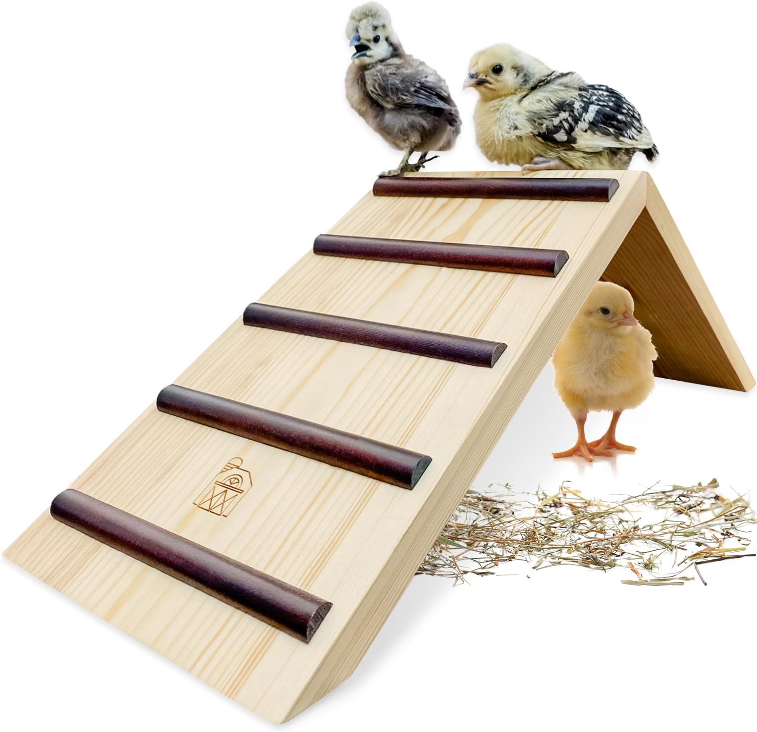Amazon.com : Cayfield Farms Chick Brooder Roost & Ramp Trainer| Help ...