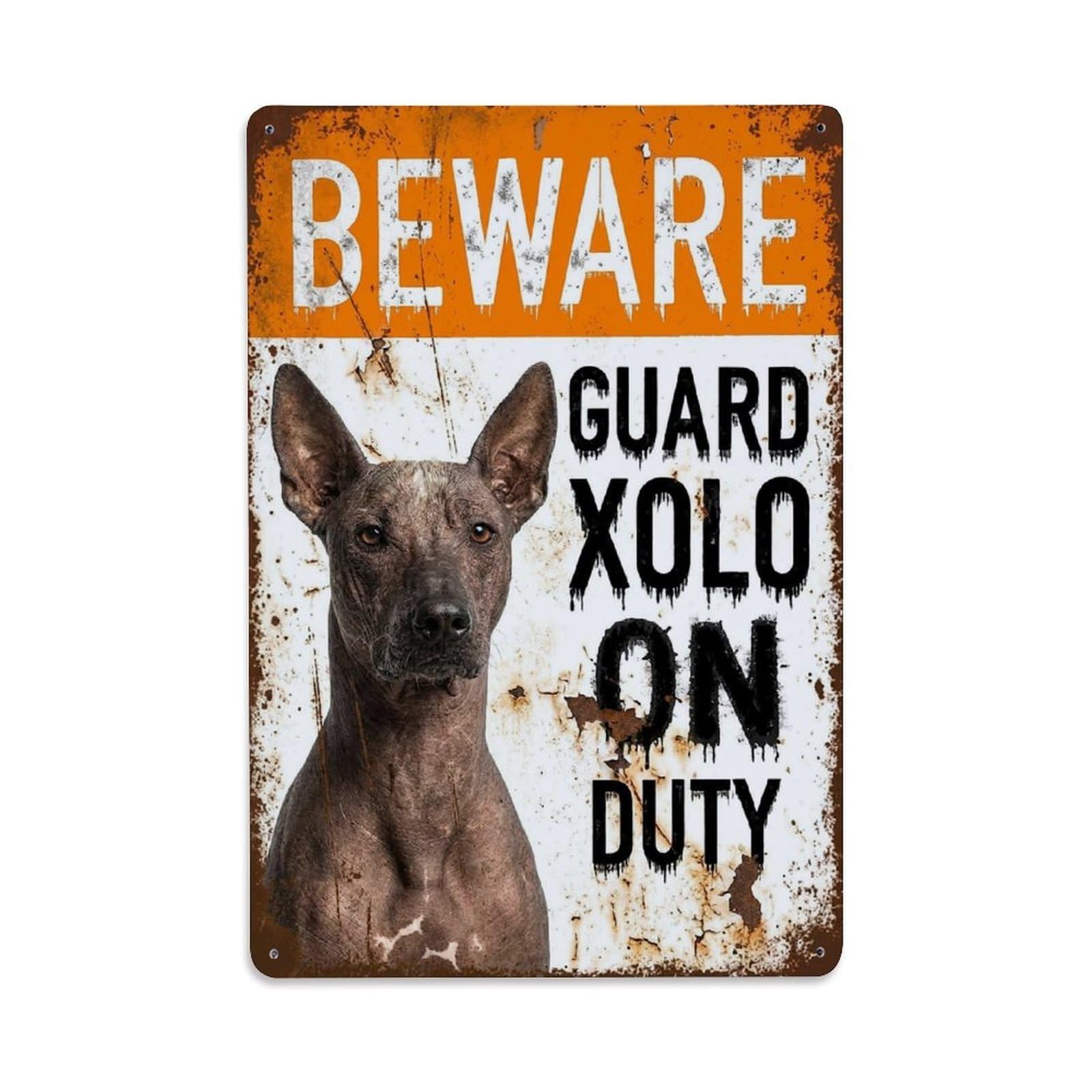 Vintage Funny Xoloitzcuintli Guard Beware of Dog Garage Metal Tin Sign Plaque Wall Decor for Cafe, Club Bar, Office, Garden Metal Poster 8x12Inch