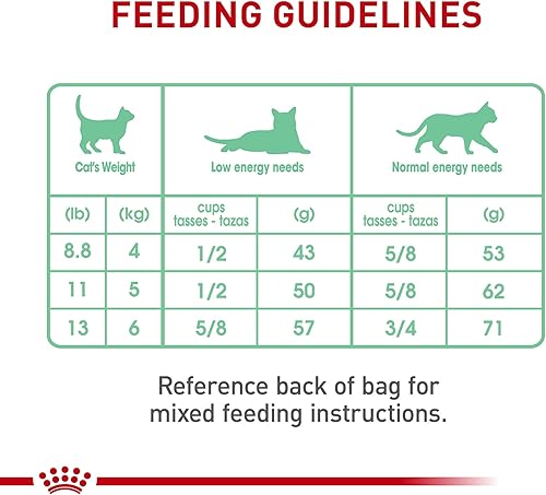 Miniatura 8 de Royal Canin Feline Care Nutrition Digestive Care Alimento seco para gatos adultos, bolsa de 3 libras