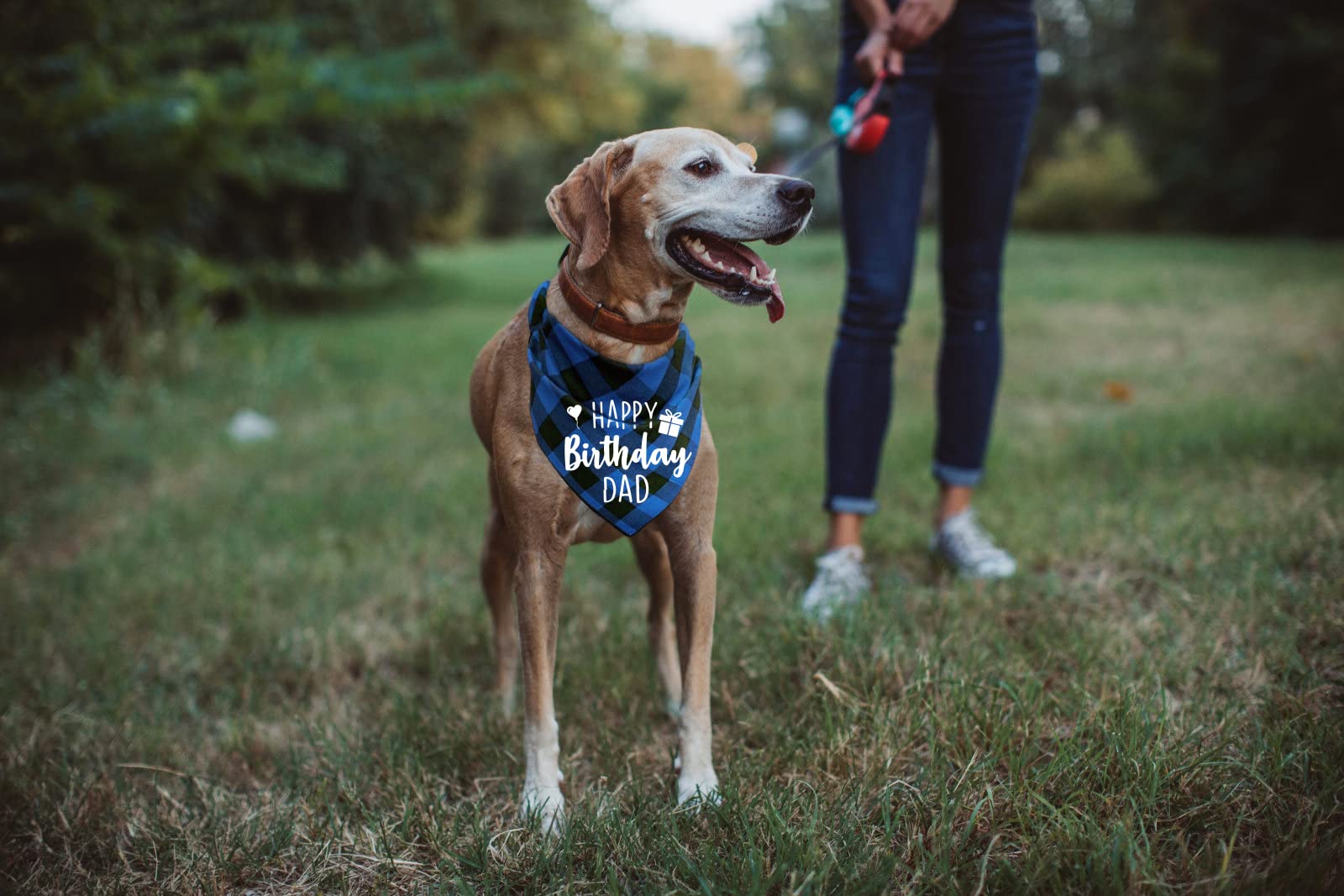 Hundehalstuch 'Happy Birthday' – 2 Stück, Kariert, Aus Weicher Baumwolle, Für Kleine Bis Große Hunde