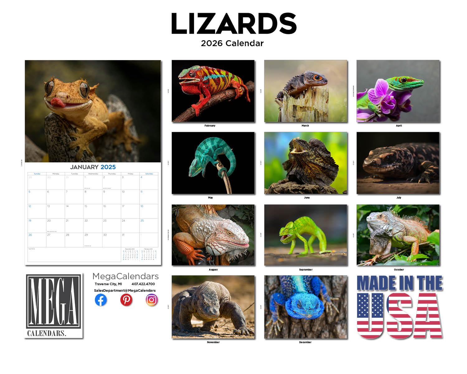 2024 2025 Eidechse – Reptilien-Monats-Wandkalender – 30,5 x 45,7 cm offen – dickes Papier ohne Auslaufen – Geschenk – akademischer Lehrerplaner Kalender Organisieren und Planen