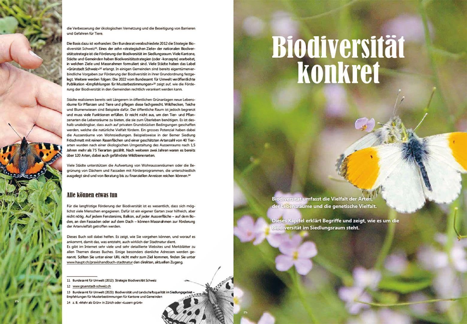Praxishandbuch Stadtnatur: Biodiversität fördern im Schweizer Siedlungsraum