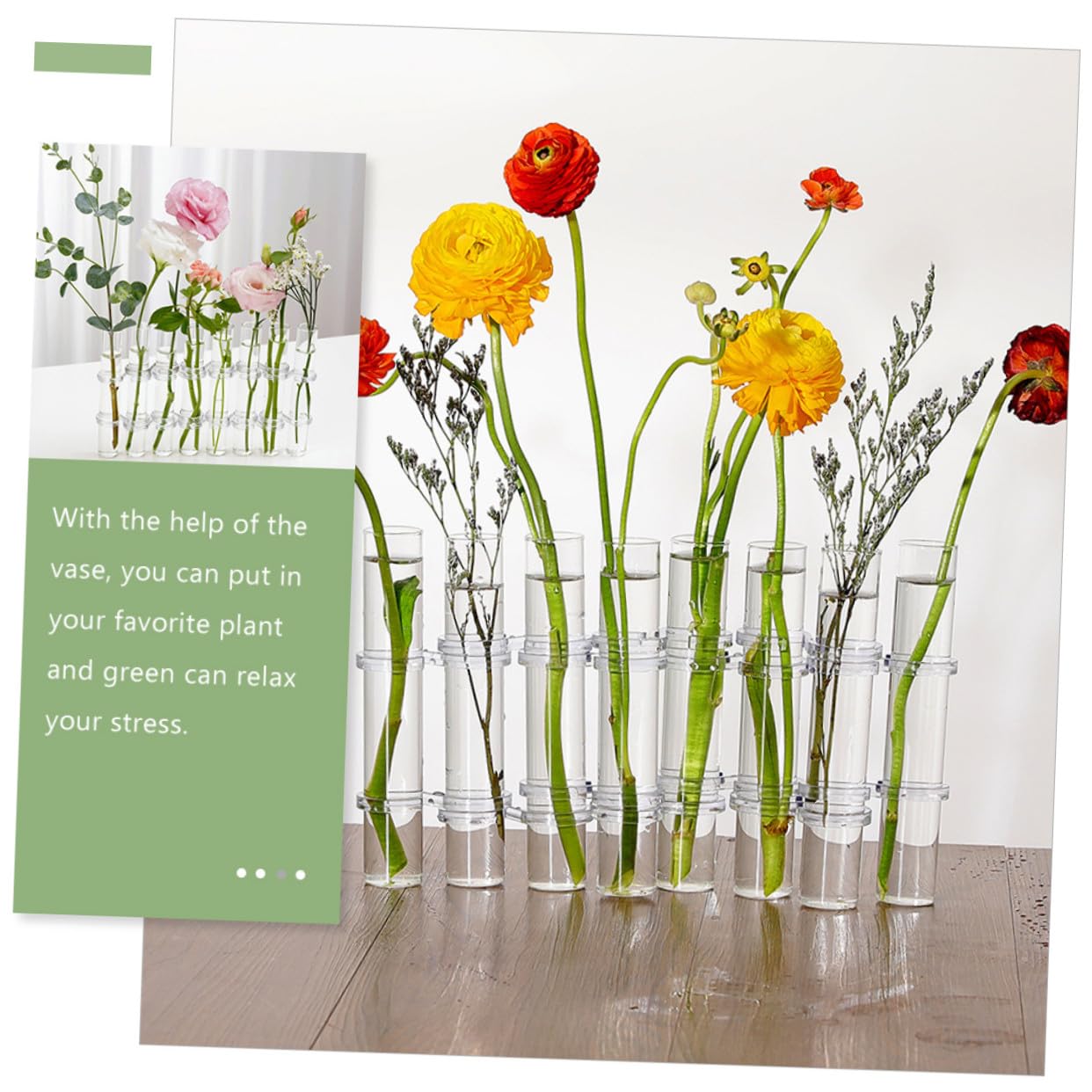 Vase Verre Transparent pour Propagation Hydroponique Grand Format avec Support Robuste Contenant Décoratif pour Plantes Intérieur et Terrarium de Bureau Brosse de Nettoyage