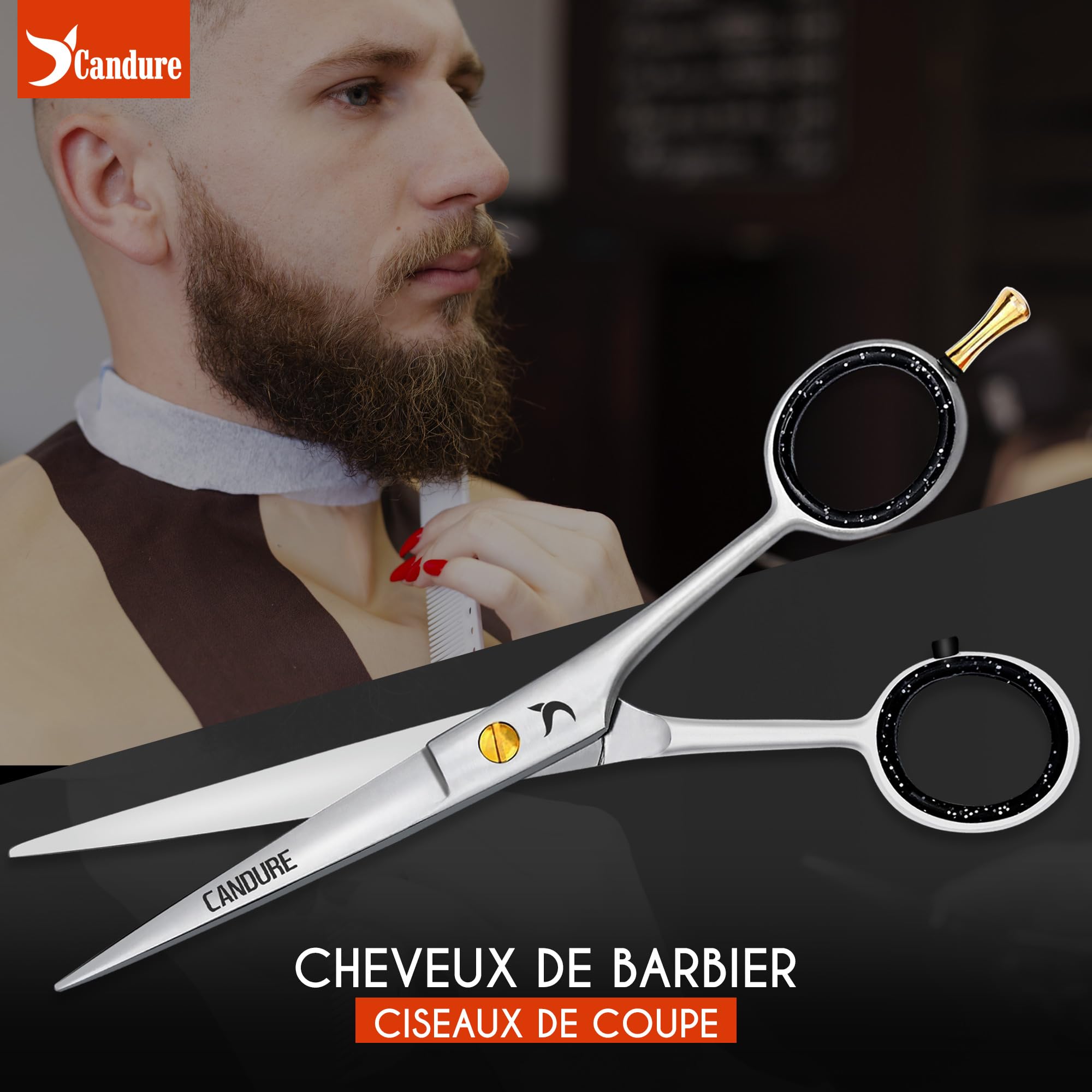 Ciseaux de coiffure professionnels Candure 6,5", ciseaux de coiffure de salon avec peigne et étui, kit de ciseaux de coiffure en acier inoxydable pour hommes et femmes (argent et or)