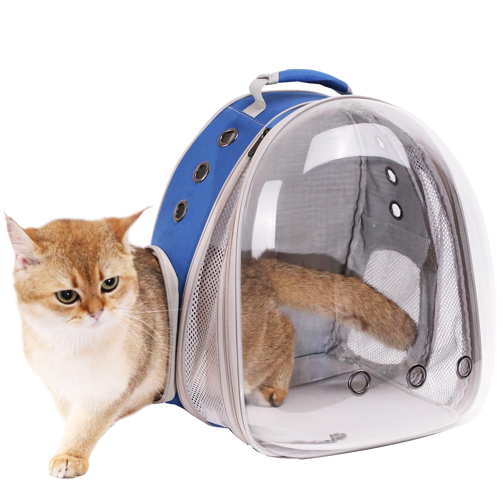 Mochila expandible para gatos, se ajusta hasta 20 libras, cápsula espacial, astronauta burbuja, ventana, mochila para mascotas para gatos grandes y cachorros pequeños (azul, extensión frontal)