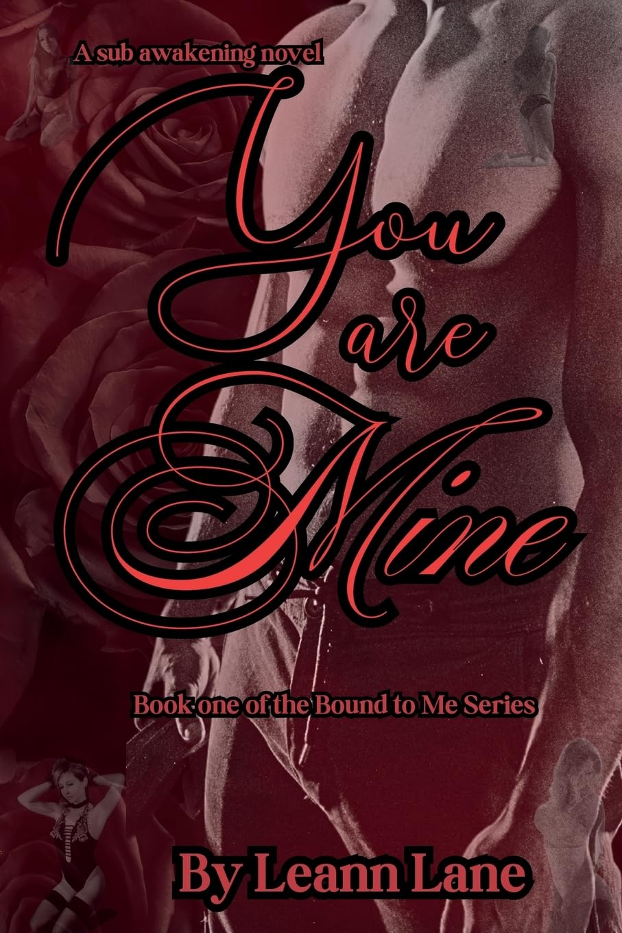 You Are Mine: Volume 1 (Bound To Me)