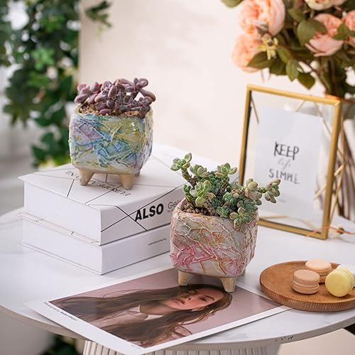 Miniatura 6 de Daveinmic Macetas para suculentas de 4 pulgadas con drenaje, macetas pintadas a mano para plantas suculentas, macetas de porcelana como regalo para